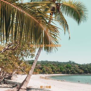 在家里工作温柔的波萨诺伐舞曲