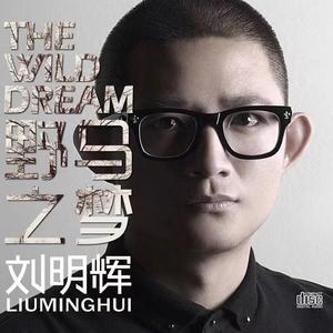 我所幻想的未来