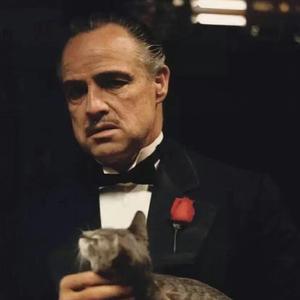 破碎 Prod by UNIVERSE 444