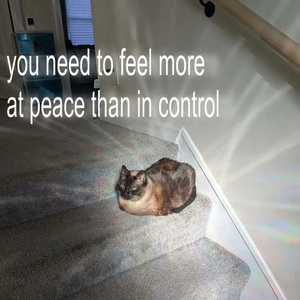 我的想法ta不懂