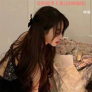 爱的故事上集 (DJ林瑜版)