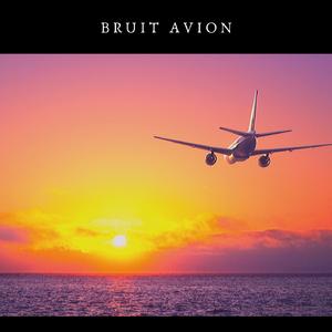 Acouphene et avion