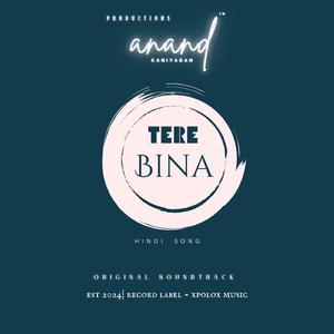 Tere Bina | Hindi Song
