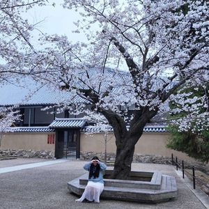 二月二十五日的糖-冉应龙