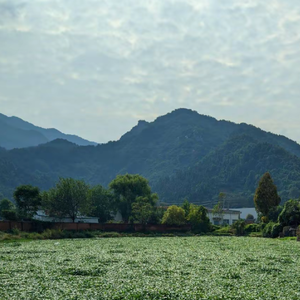 在山的那边(王家新•现代)