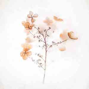 心平气和 (静心手碟)