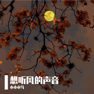 去听风的颜色