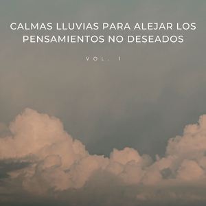 Deja Que La Lluvia Te Absorba