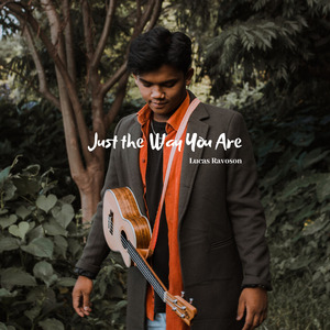 Just The Way You Are