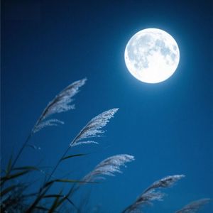 夜深思绪逐月光