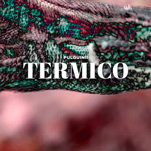 Termico