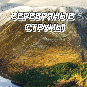 Белая зима