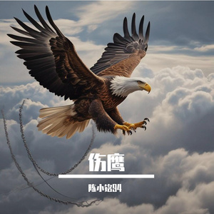 伤鹰—摇滚版