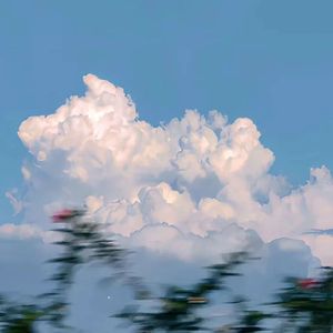 桃花劫（女hook版）