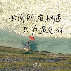 世间所有相遇只为遇见你