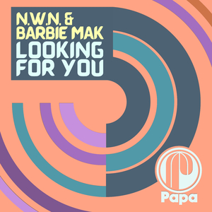Looking For You (Instrumental Mix)