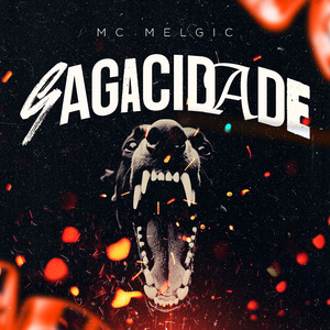 Sagacidade