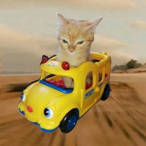 Cat In The Car (Cesami Remix)