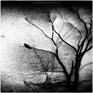 Afriendisjustanenemywhostabsyouinthefront (Digital Form Version)