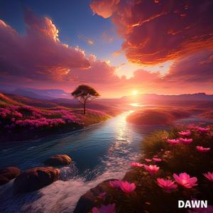 Dawn