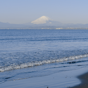 想 和 你 一 起 看 海