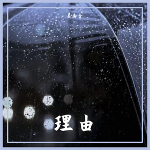 理由（翻自 赵紫骅）