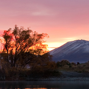 职业检测特效 (BGM)