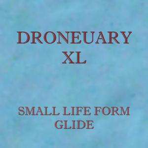 Droneuary XL - Glide