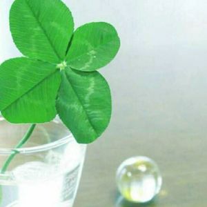 漫步在宁静旅途中