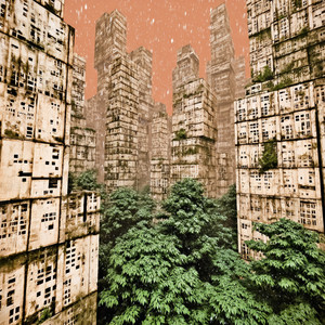 Through the Velvet Meadow