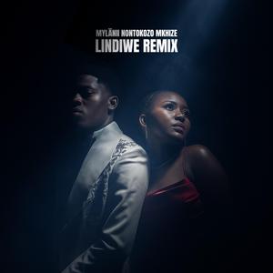 Lindiwe (feat. Nontokozo Mkhize) (reimagination)