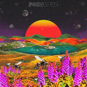 Foxglove