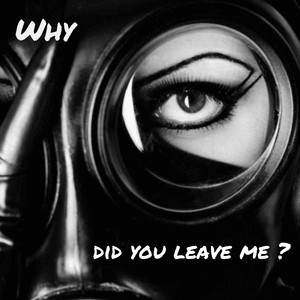 Why Did You Leave Me?