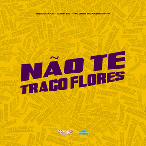 Não Te Trago Flores