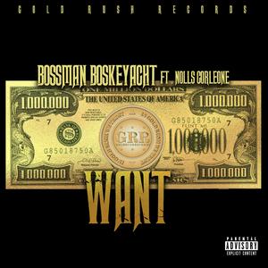 Want (feat. Nolls Corleone)
