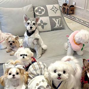 翅尖点破的海洋幻蓝