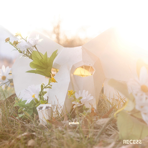 Petals