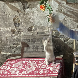 往前一步是春天 退后一步是怀念