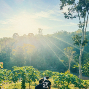 อุโมงค์ต้นไม้