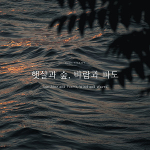 고요한 숲의 숨결