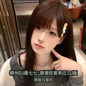 柳州DJ晨七七-感谢你曾来过DJ版