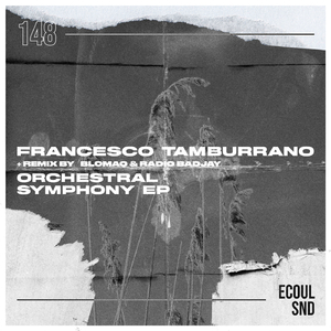 Orchestral (BLOMAQ Remix)