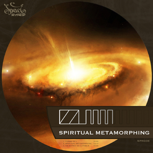 No Matrix No Autobus (Original Mix)