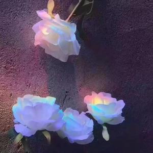 mov In My Blood - 萌德（Toby Randall）