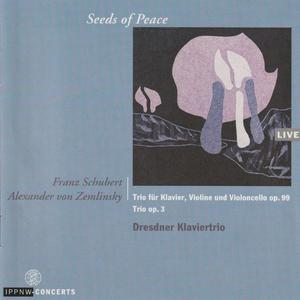 Piano Trio No. 1 in B flat D. 898 Op. 99: Andante un poco mosso (Live)