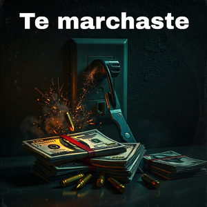 Te marchaste