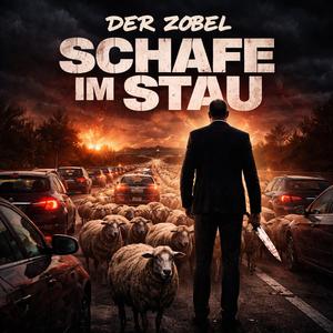 Schafe im Stau