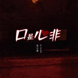 口是心非(Prod.by XVIBE)