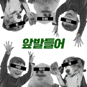 앞발들어 (개돼지들아)