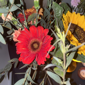 ดอกไม้ราตรี